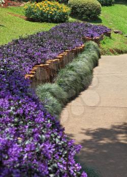 The most beautiful park in Southeast Asia. A masterpiece of landscape architecture - a huge park in Thailand