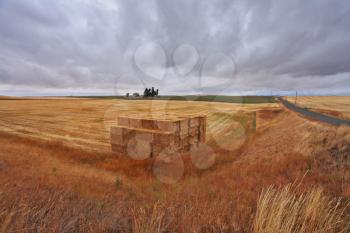 Huge autumnal fields after harvest. Cloudy skies and big stacks of wheat