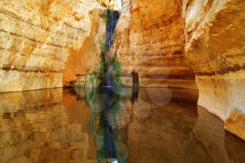 Picturesque canyon Ein-Avdat in desert Negev in Israel