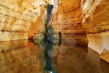 Picturesque canyon Ein-Avdat in desert Negev in Israel