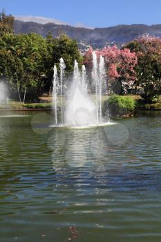 Charming lake and a fountain in city park. Serene summer day