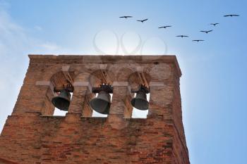 A triangular flight of migratory birds flying over the bell tower in Venice. Sunny Day