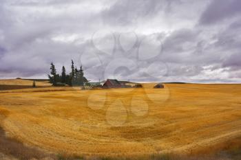 Small farm in fields of Montana after harvesting. More magnificent pictures from the American and Canadian National parks you can look hundreds in my portfolio. Welcome!