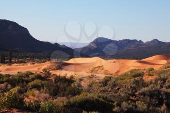 Roundish forms of orange, yellow and pink sandy dunes and small wild bush