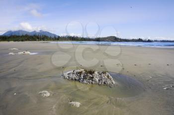 Huge sandy beach on coast of island Vancouver in Canada