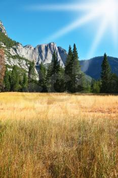 Dense autumn yellow grass in a mountain valley of Yosemite national park in California.