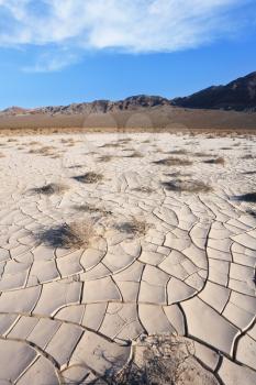Cold morning in the desert. Cracked clay - takyr - surrounds a huge sandy dune Eureka