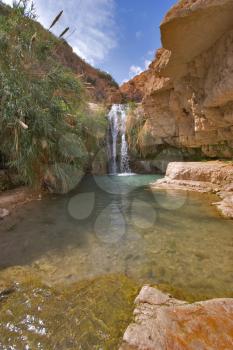  A falls and the river in reserve on the Dead Sea in Israel