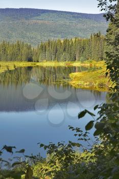 The silent mountain lake surrounded by fur-trees and bushes in the autumn