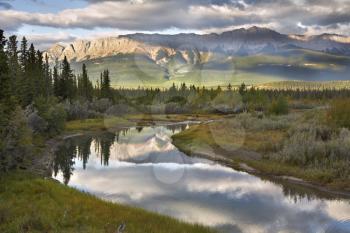 The silent river surrounded by fur-trees and bushes in the autumn