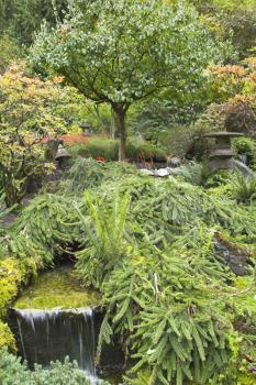  A small stream and a falls in Japanese to a garden in the big park