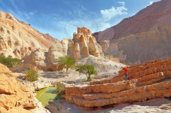 Gorge in the Dead Sea. The picturesque ruins of the Crusader photographed woman in the red sweater