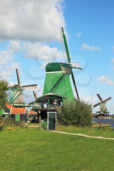 Countryside - an ethnographic museum in the Netherlands. Three windmills and farm buildings on a green meadow