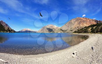 Over the blue lake the predatory condor turns Mountains reflected in the mirrored water. Picture taken Fisheye lens