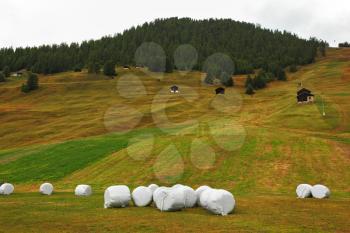 Neat stacks of hay wrapped in lovely mountain meadows. Switzerland, Alps

