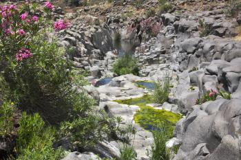 Canyon with cut basalt walls and a drying up stream at the bottom