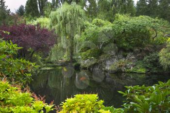  A picturesque pond with the dark water, surrounded by blossoming trees, flower beds and bushes 