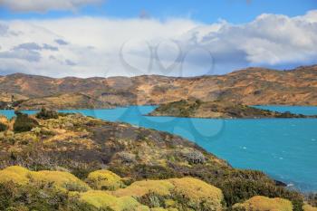 Yellow and green hilly lakeside Pehoe. National Park Chile - Torres del Paine