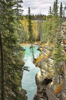Falls Athabasca in a deep canyon in the north of Canada

