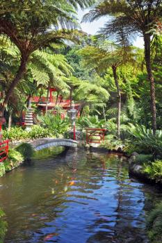 Lovely pond with goldfish. Across the pond spanned by graceful bridge. In the depths of the park is visible Chinese gazebo