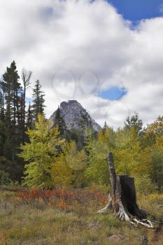 Picturesque stub in magnificent glacial reserve in Canada 