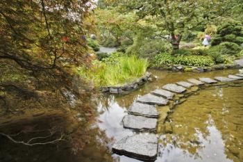 Traditional Japanese garden. A stream and a decorative path from stones