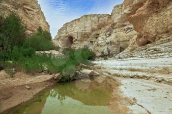 Ein Avdat National Park in the Negev desert. Magnificent canyon, creek and picturesque waterfall
