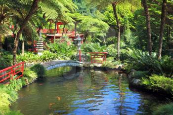 Lovely pond with goldfish.  In the depths of the park is visible Chinese gazebo.  Across the pond spanned by graceful bridge