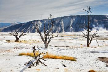 Fantastic landscape in Yellowstone national park