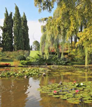 Magnificent European park. The silent picturesque pond with lilies is surrounded with bright green bushes and trees