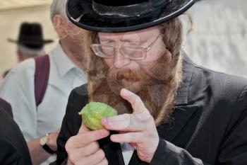 JERUSALEM, ISRAEL - SEPTEMBER 18, 2013: Traditional market before the holiday of Sukkot. Religious Jew with a red beard, glasses and  hat inspects ritual citrus - etrog