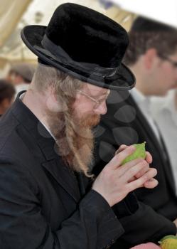 JERUSALEM, ISRAEL - SEPTEMBER 18, 2013: Traditional market before the holiday of Sukkot. Religious Jew with red beard, glasses and hat inspects ritual citrus