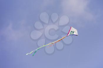 Holiday of kites on summery sea beach