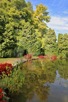 Picturesque bush with red flowers around a circular pond. Beautiful park in northern Italy Sigurta