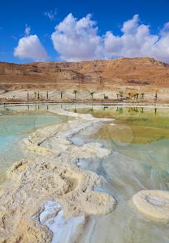 Israeli coast of the Dead Sea. The path from salt picturesquely curls in salty water. Palms are reflected in smooth water ashore