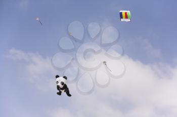 Various kites on  a sea beach