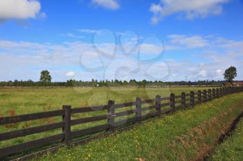 Steady herbal farmer's field, fenced low wooden fence