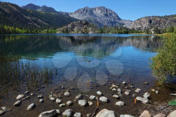 Two fishing tackles at coast of shallow lake among mountains