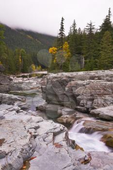 Cold stream and autumn fog in mountains