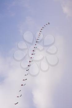 Chain of kites on a holiday in a school vacation