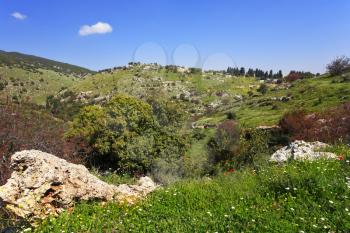 Vicinities of mountain Meron in clear spring day