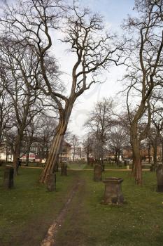 . A medieval cemetery in city park of the big German city