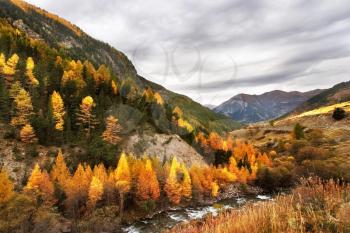 Mountain river among autumn hills





