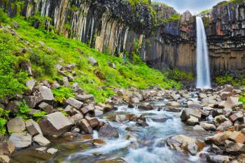 Black basalt columns frame the water jet. Magnificent waterfall Svartifoss in Icelandic Skaftafell park