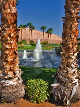 
Blue lake and fountains on palms background

