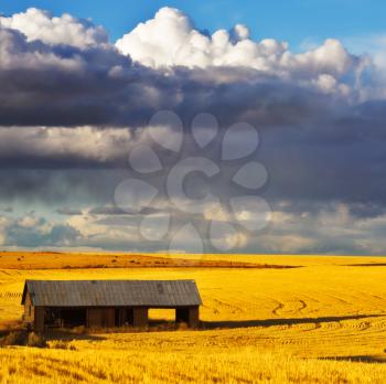 Empty wooden shed in field after harvesting
