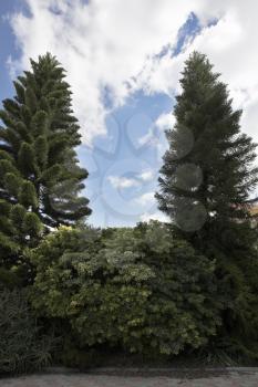 Park at monastery Convent of Latroun in Israel