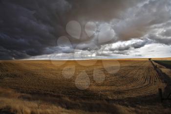 The thunder-storm begins. A huge thundercloud above fields of Montana, the USA