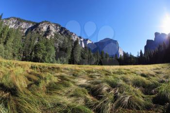 The most beautiful glade in Yosemite national park on a sunrise