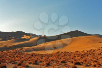 Magnificent greater sandy dune Eureka in Dead Walley national Park on sunrise